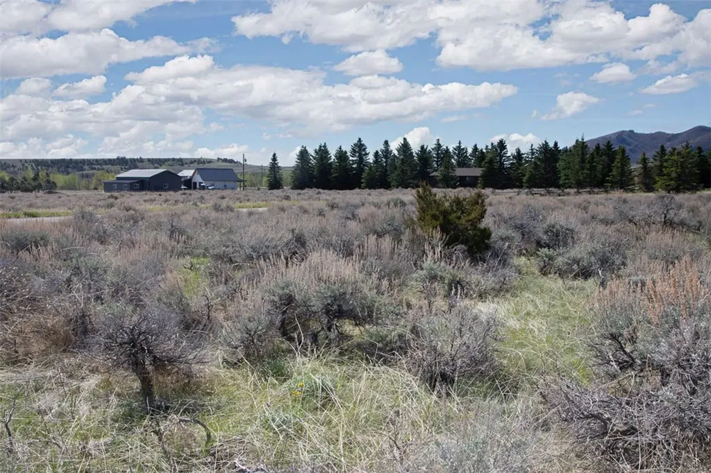 Lot 4 Bannock Circle Red Lodge MT 59068
