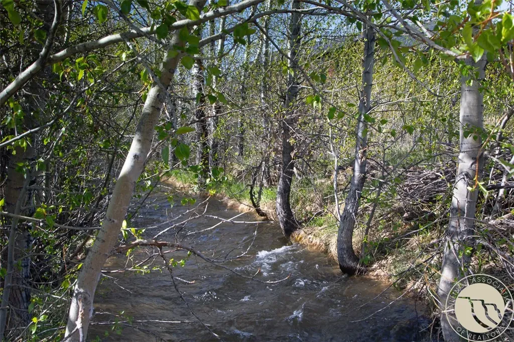 Lot 4 Bannock Circle Red Lodge MT 59068