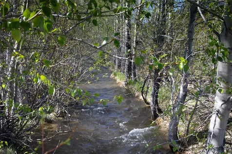 Lot 4 Bannock Circle Red Lodge MT 59068