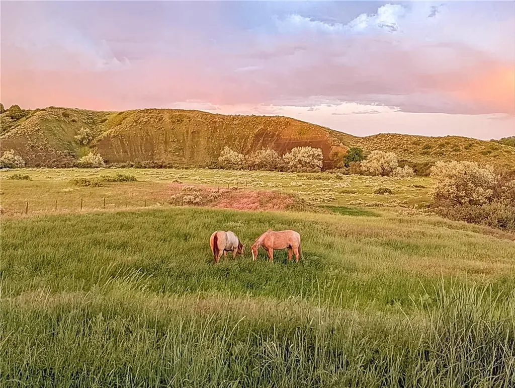 6948 Pony Circle Shepherd MT 59079