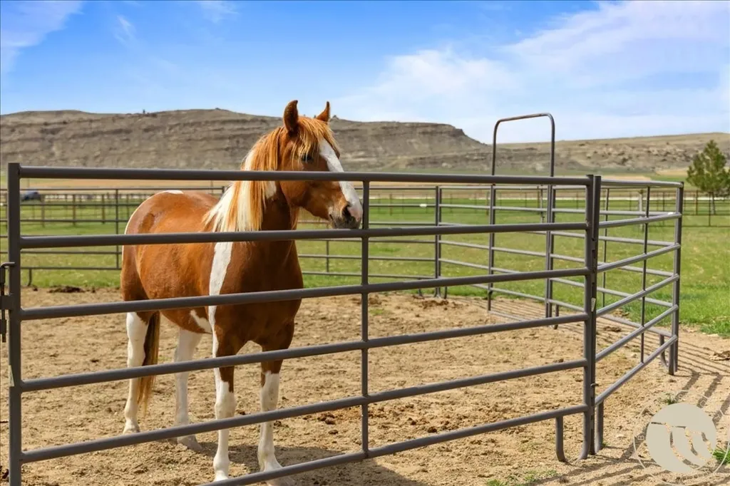 1662 Highway72 Bridger MT 59014