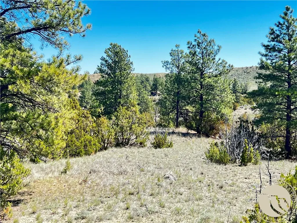 Lot 46 S Woodland Road Roundup MT 59072