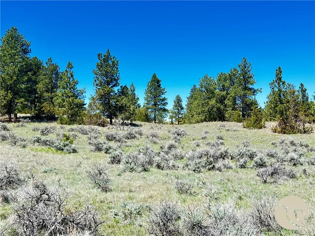 Lot 46 S Woodland Road Roundup MT 59072