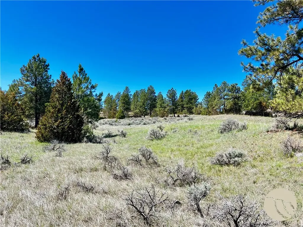 Lot 46 S Woodland Road Roundup MT 59072