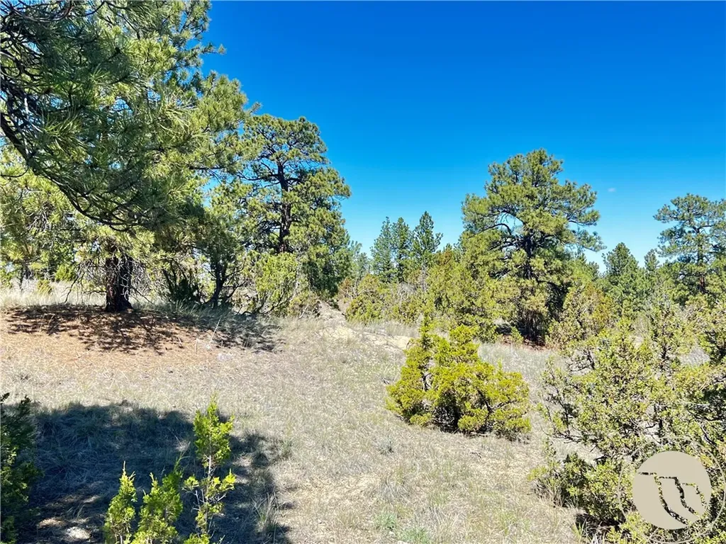 Lot 46 S Woodland Road Roundup MT 59072