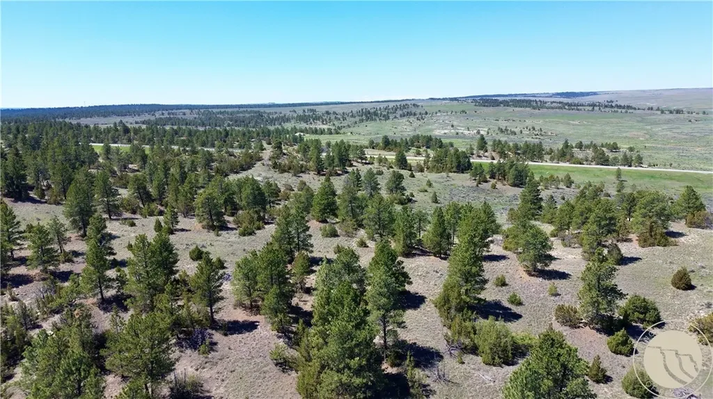 Lot 46 S Woodland Road Roundup MT 59072