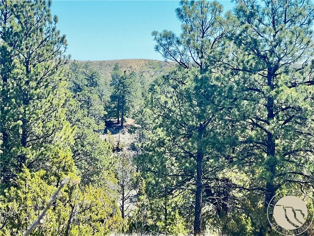 Lot 46 S Woodland Road Roundup MT 59072