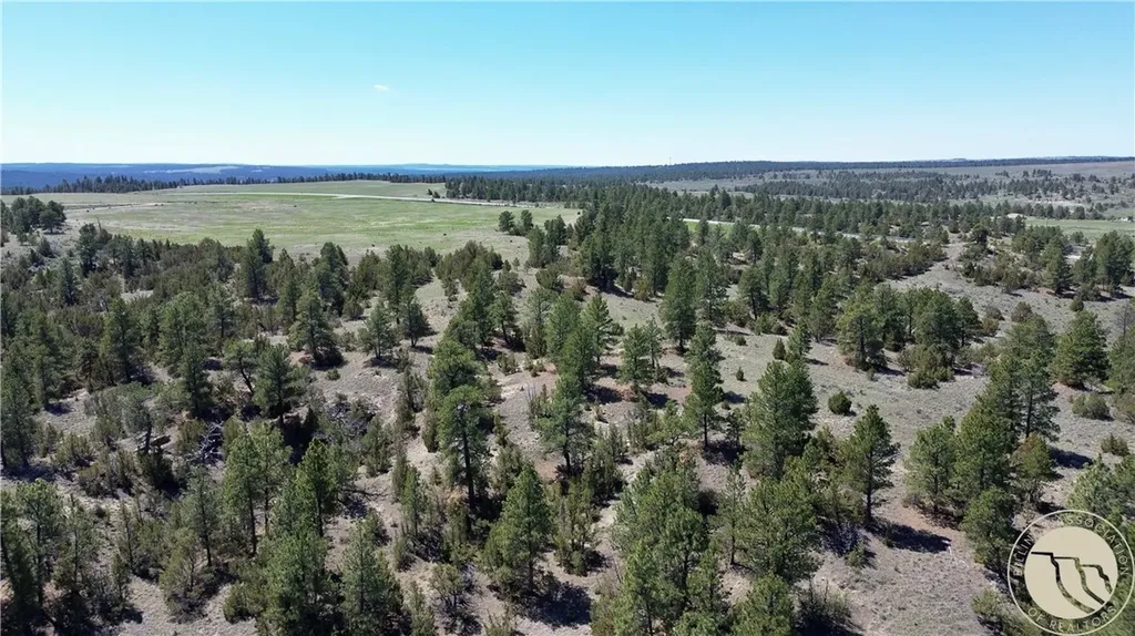 Lot 46 S Woodland Road Roundup MT 59072