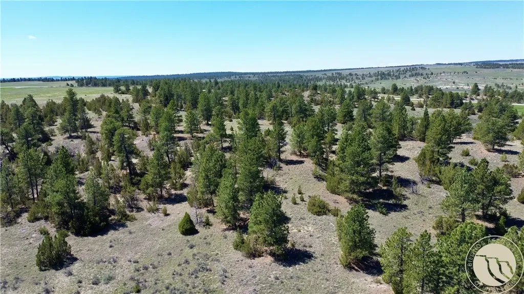 Lot 46 S Woodland Road Roundup MT 59072