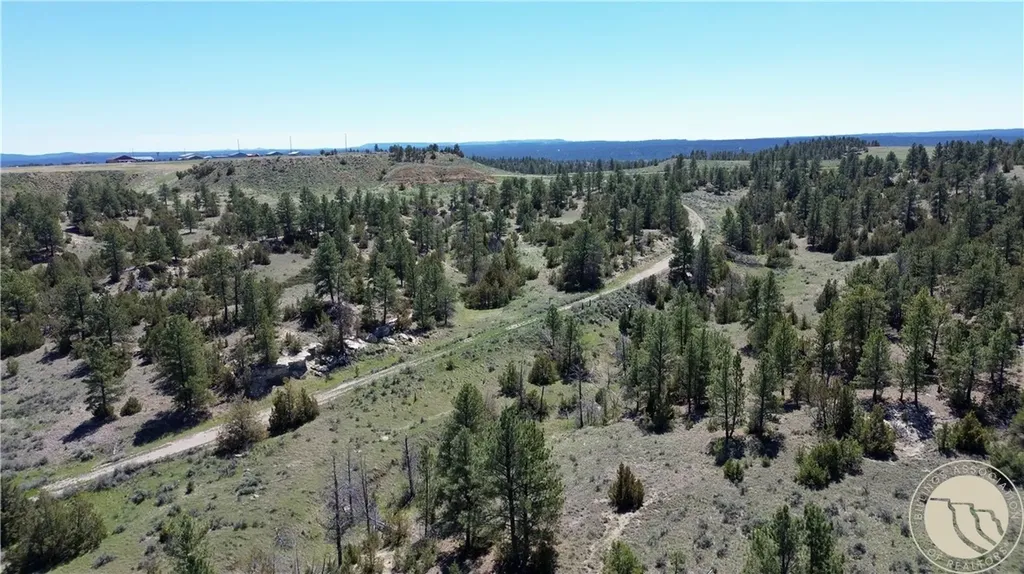 Lot 46 S Woodland Road Roundup MT 59072