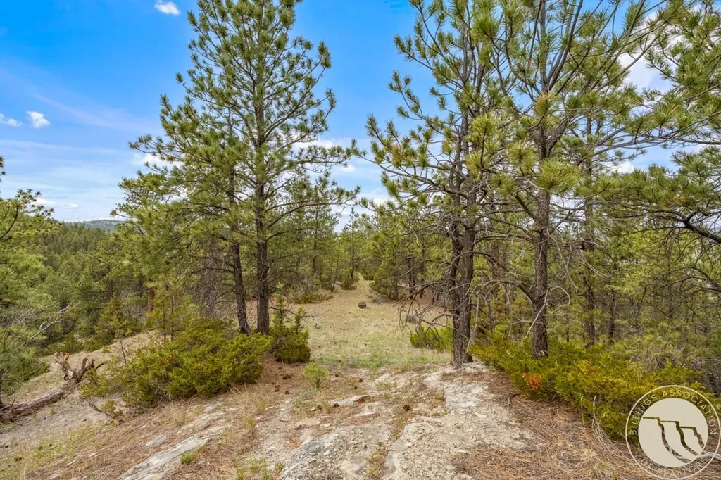 5 Appaloosa Ridge Road Reed Point MT 59069