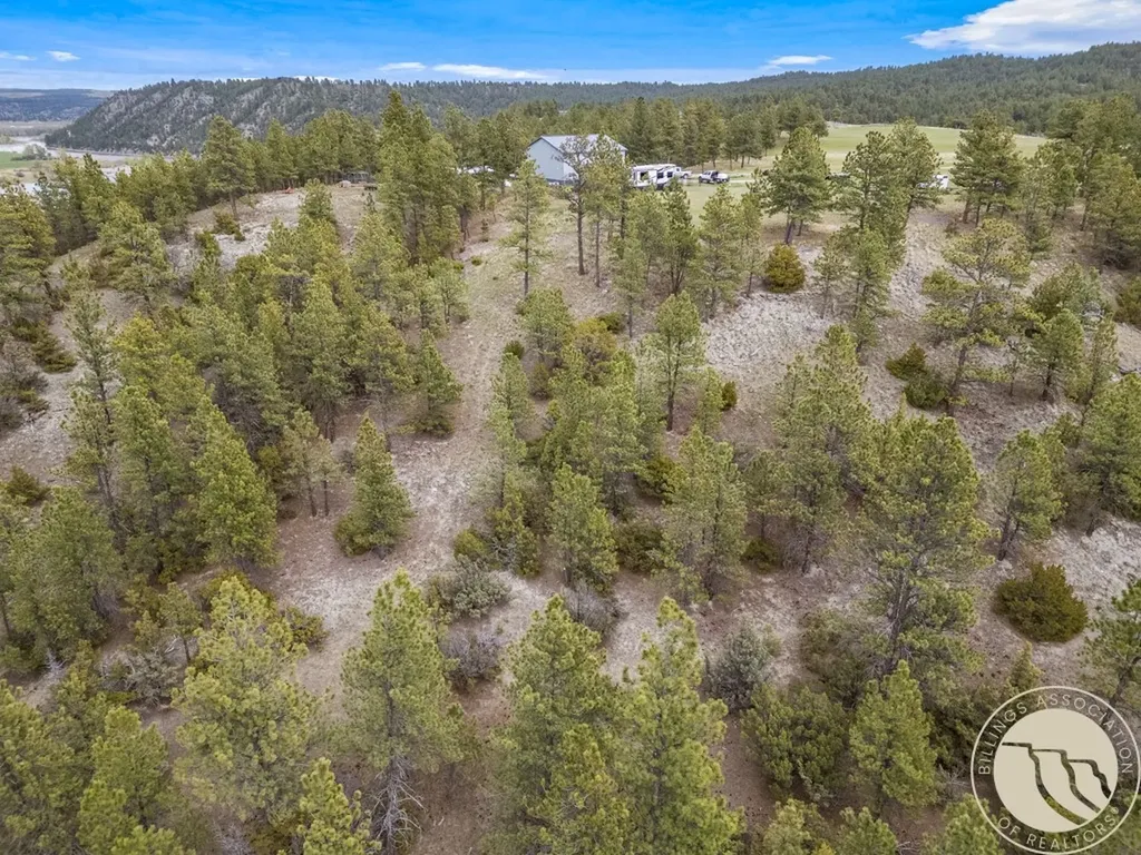 5 Appaloosa Ridge Road Reed Point MT 59069
