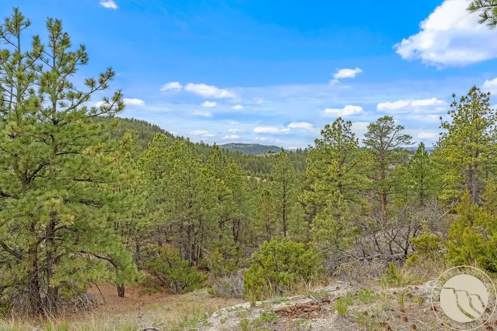 5 Appaloosa Ridge Road Reed Point MT 59069