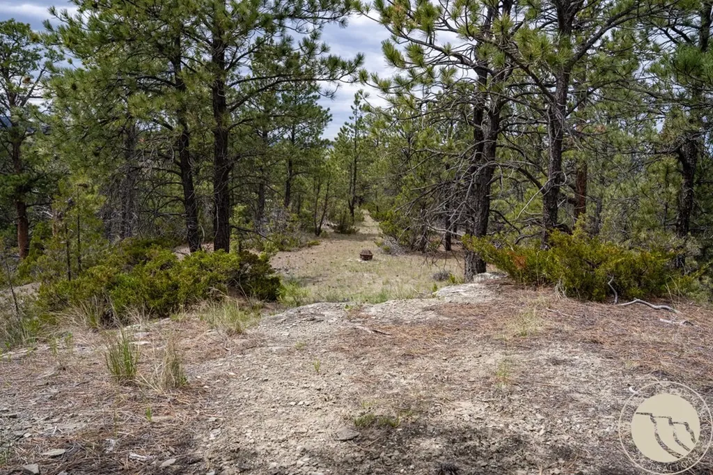 5 Appaloosa Ridge Road Reed Point MT 59069