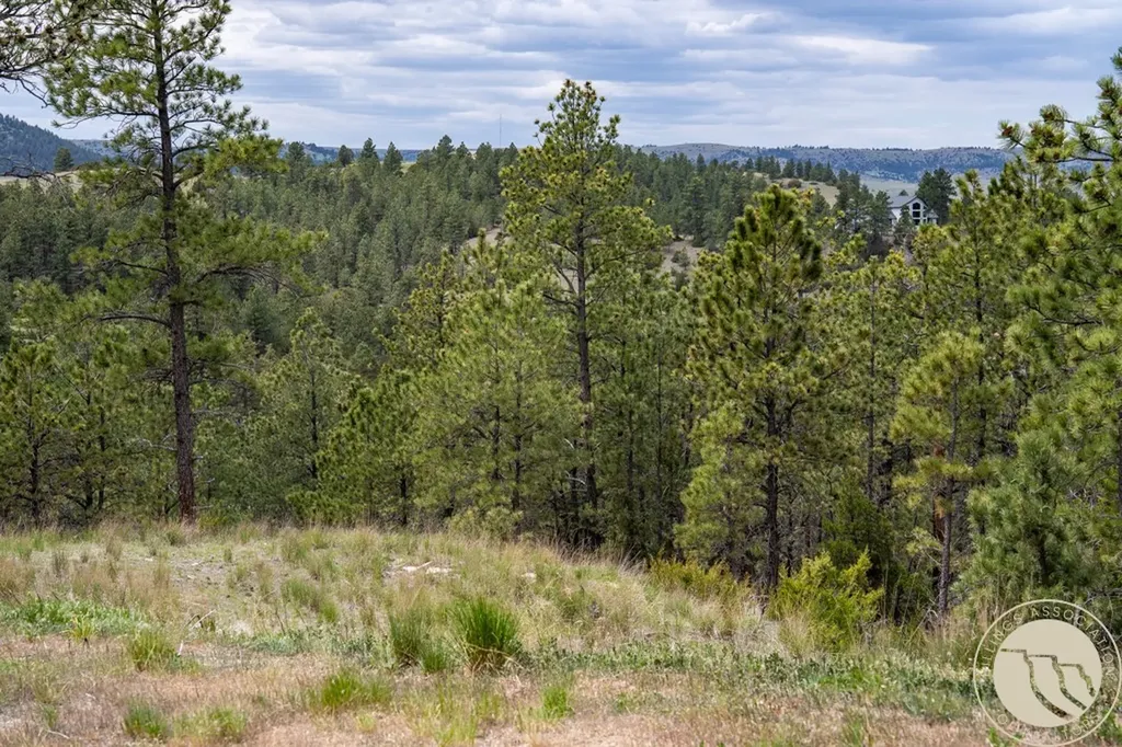5 Appaloosa Ridge Road Reed Point MT 59069