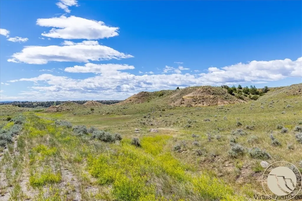 S34, T09 N, R25 E, Sw4nw4 Tbd Us Hwy 87 N, Roundup, Mount Roundup MT 59072