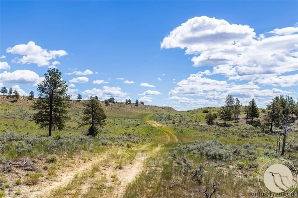 S34, T09 N, R25 E, Sw4nw4 Tbd Us Hwy 87 N, Roundup, Mount Roundup MT 59072