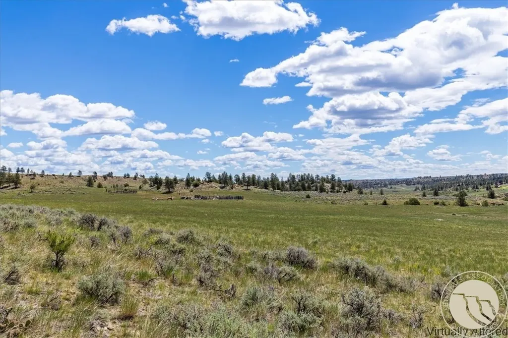 S34, T09 N, R25 E, Sw4nw4 Tbd Us Hwy 87 N, Roundup, Mount Roundup MT 59072