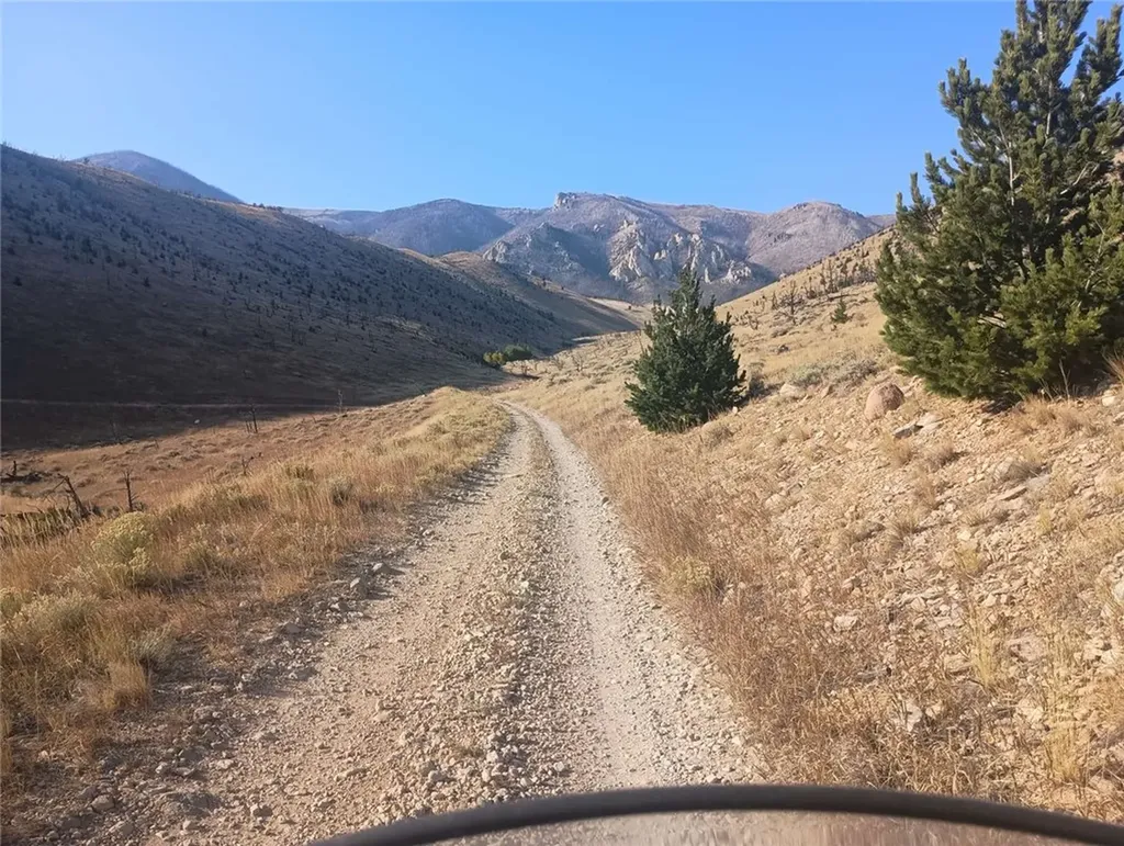 1387 Meeteetse Trail Belfry MT 59008