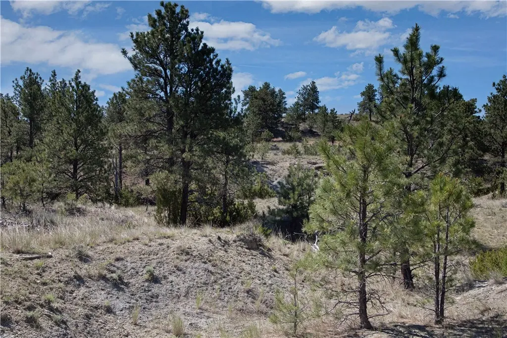Tbd Stonehouse Road (parcel 59) Shepherd MT 59079