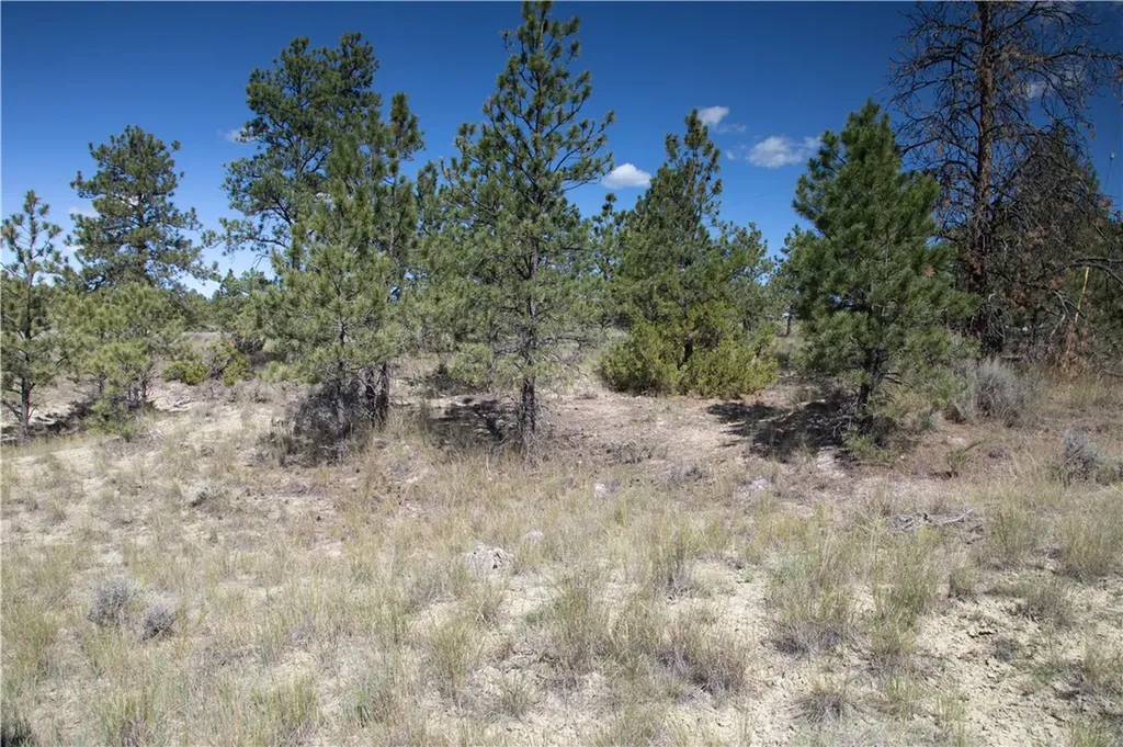 Tbd Stonehouse Road (parcel 59) Shepherd MT 59079