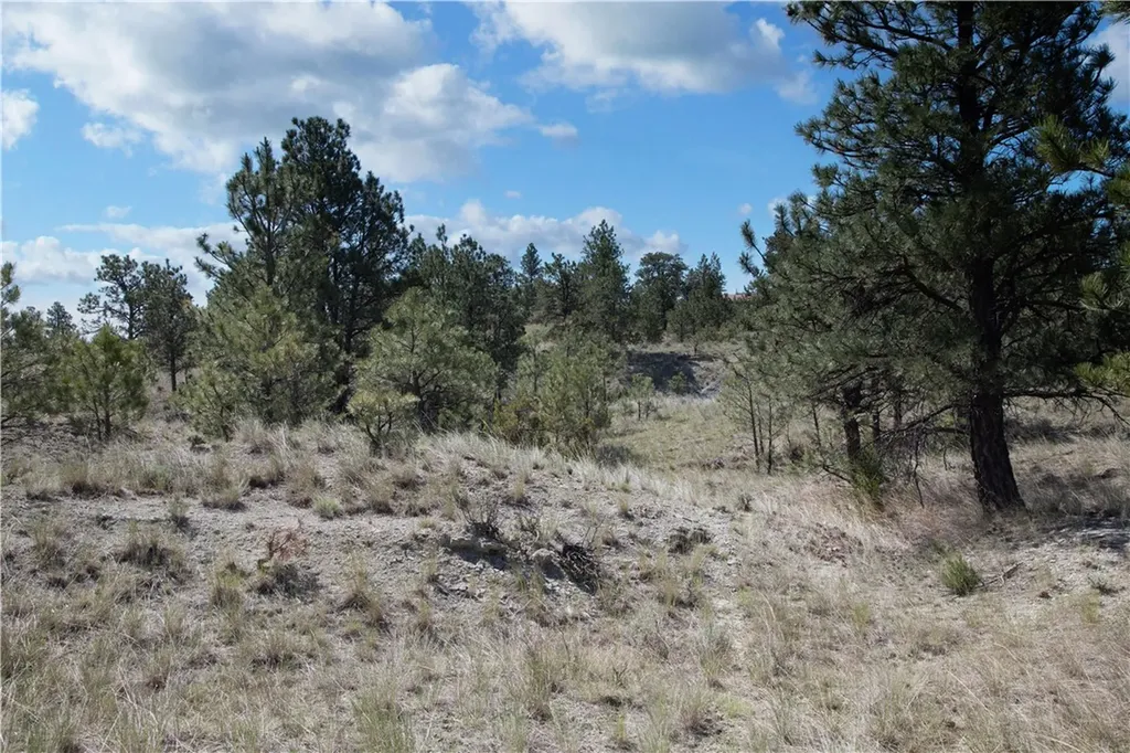 Tbd Stonehouse Road (parcel 59) Shepherd MT 59079