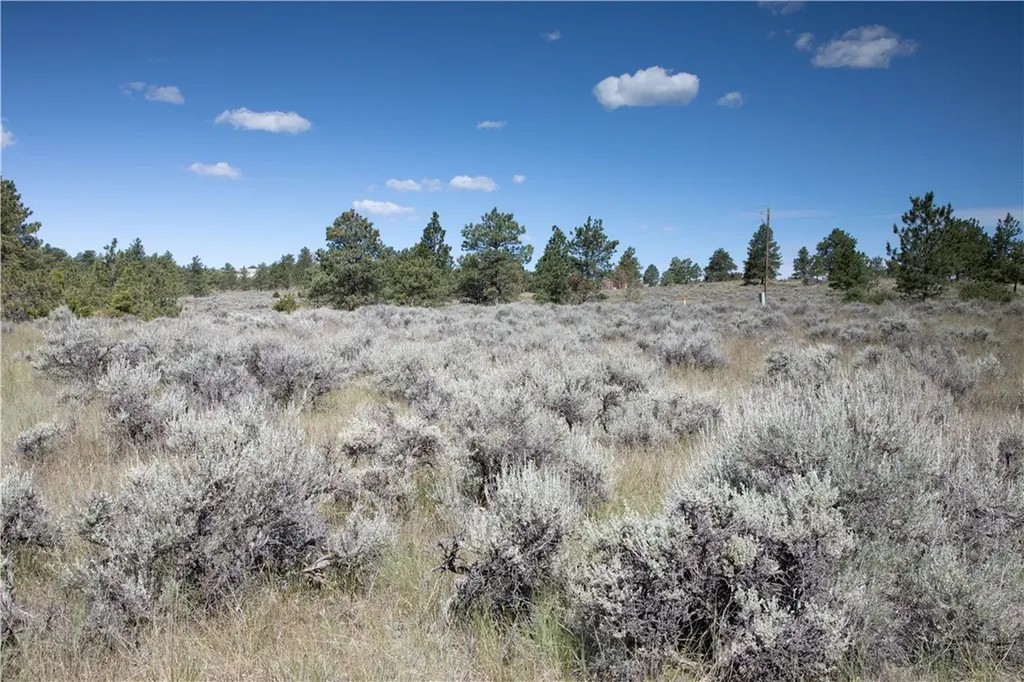 Tbd Stonehouse Road (parcel 59) Shepherd MT 59079