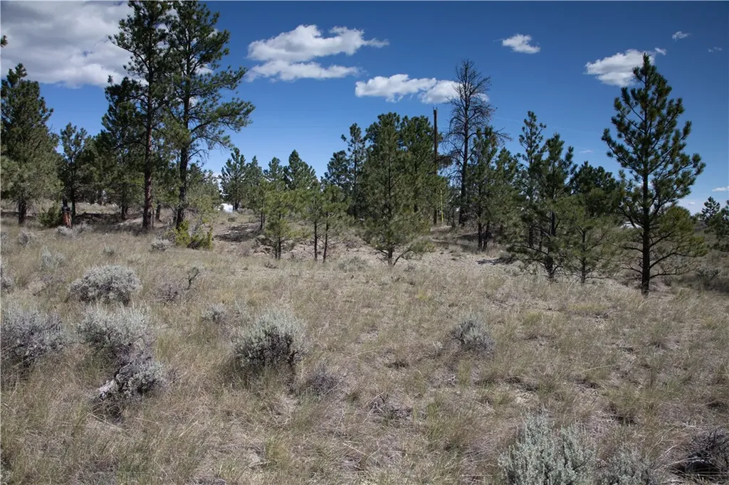 Tbd Stonehouse Road (parcel 59) Shepherd MT 59079