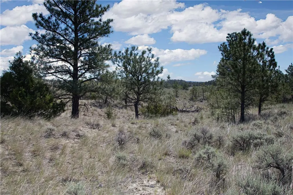 Tbd Stonehouse Road (parcel 59) Shepherd MT 59079