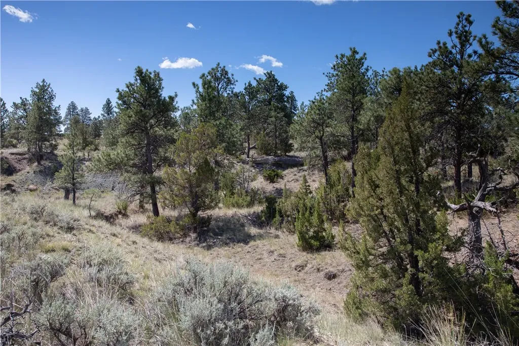 Tbd Stonehouse Road (parcel 59) Shepherd MT 59079