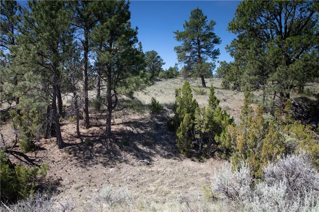 Tbd Stonehouse Road (parcel 59) Shepherd MT 59079