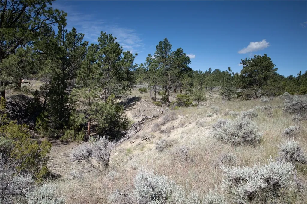 Tbd Stonehouse Road (parcel 59) Shepherd MT 59079