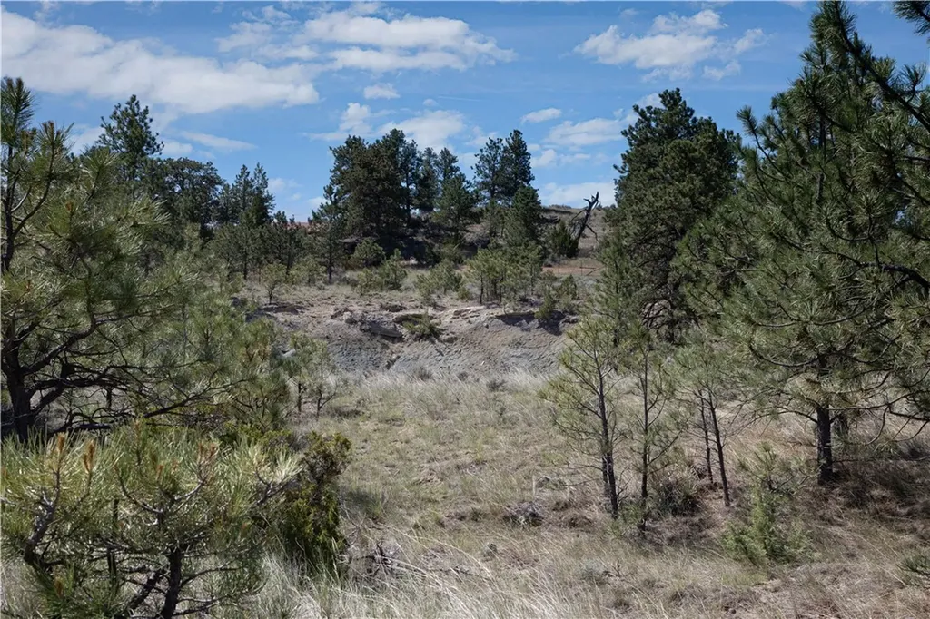 Tbd Stonehouse Road (parcel 59) Shepherd MT 59079