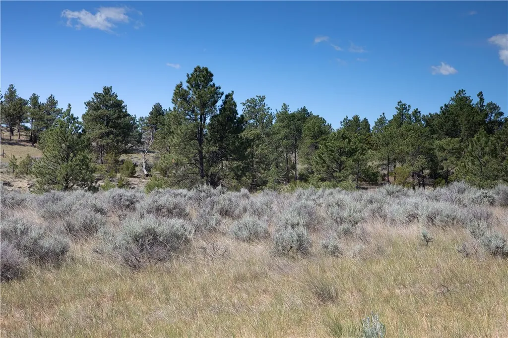 Tbd Stonehouse Road (parcel 59) Shepherd MT 59079