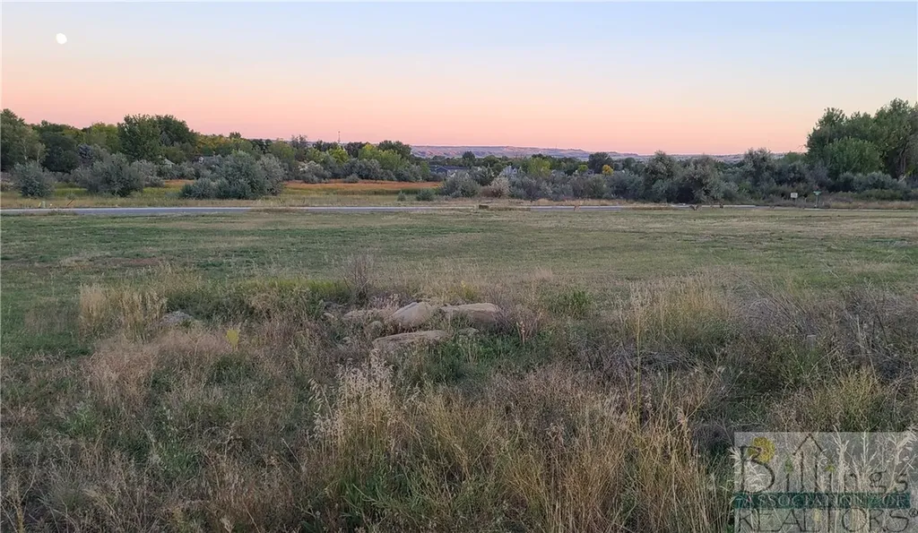 Tbd Gayle Block 17, Lot 8 Drive Billings MT 59105
