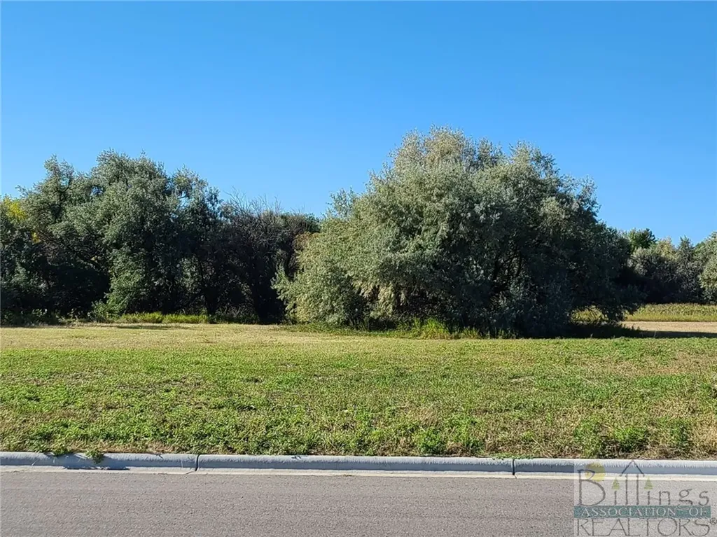 Tbd Gayle Block 17, Lot 8 Drive Billings MT 59105