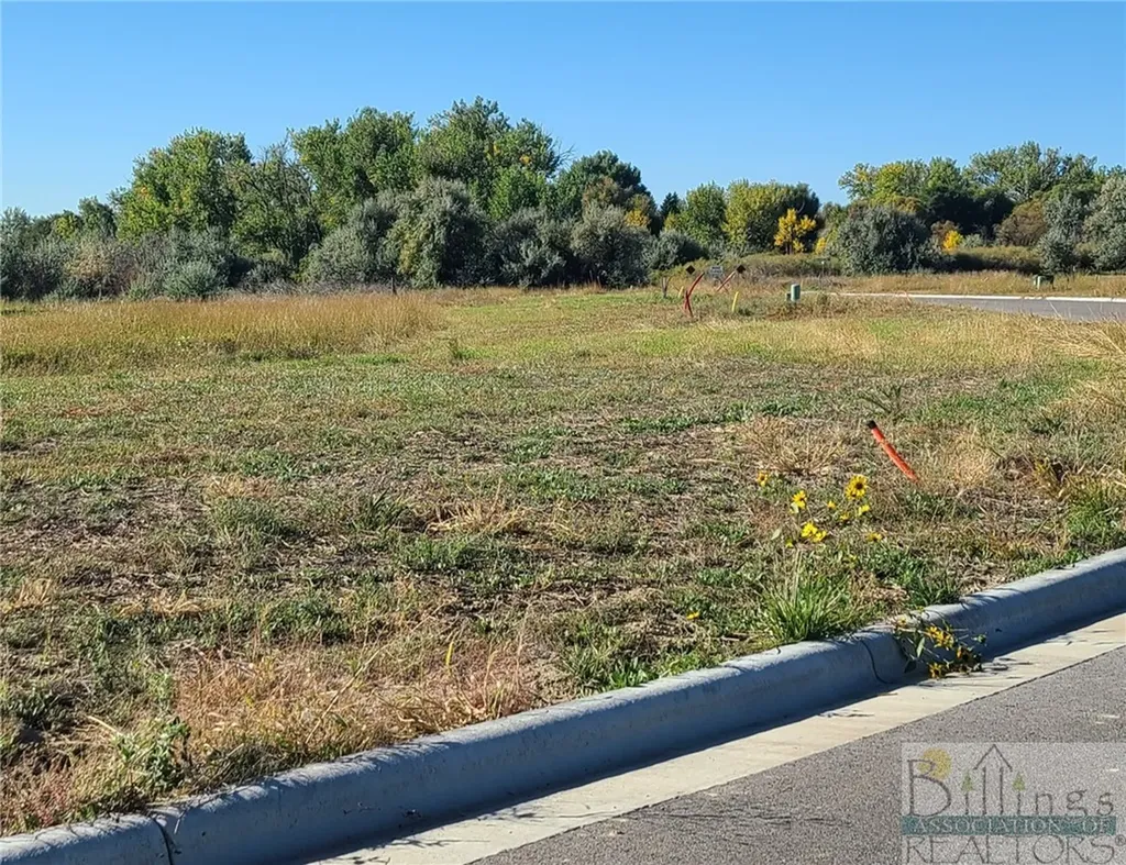 Tbd Gayle Block 17, Lot 8 Drive Billings MT 59105