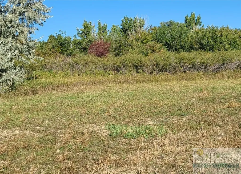 Tbd Gayle Block 17, Lot 7 Drive Billings MT 59105