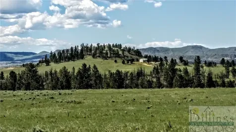 5 5 E Fork Otter Stacey Road, Volborg, Mt, Other MT 59351
