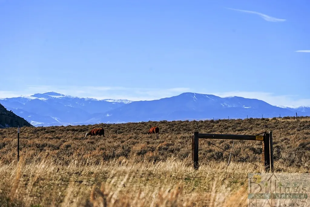 10,971 Acres Cottonwood Ranch Bridger MT 59014