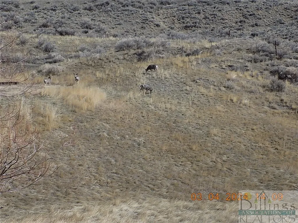 215 N 1st Street Bearcreek MT 59007