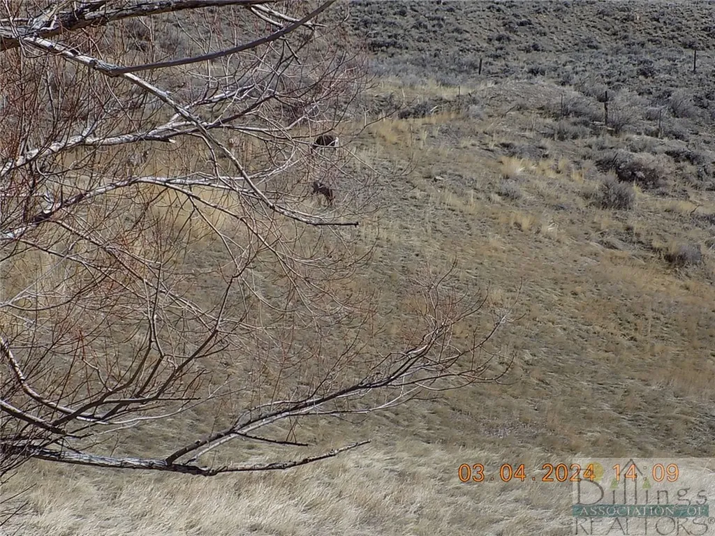 215 N 1st Street Bearcreek MT 59007