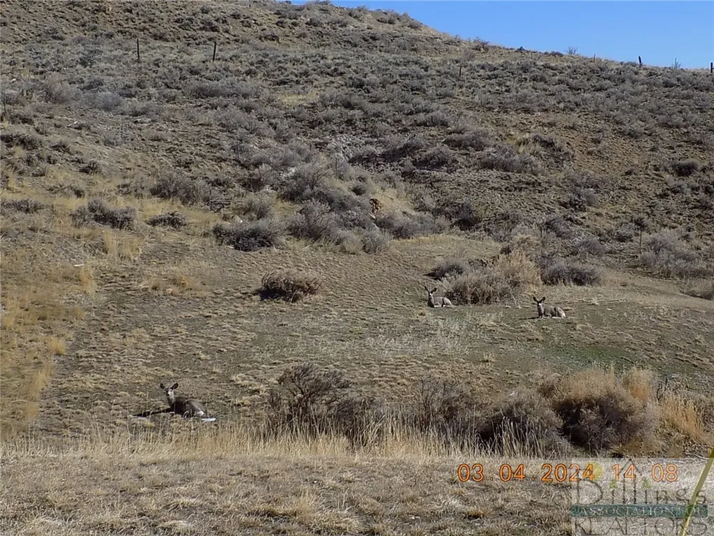 215 N 1st Street Bearcreek MT 59007