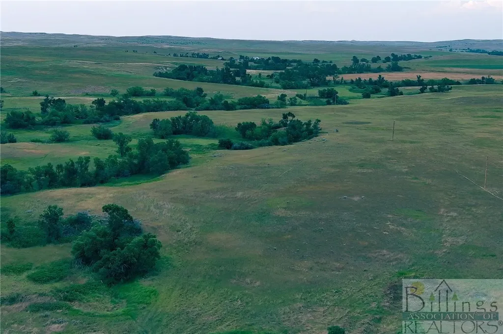 "5736 +/- Acres" Nhn Straub Access Road Plevna, Mount Road Other MT 59344