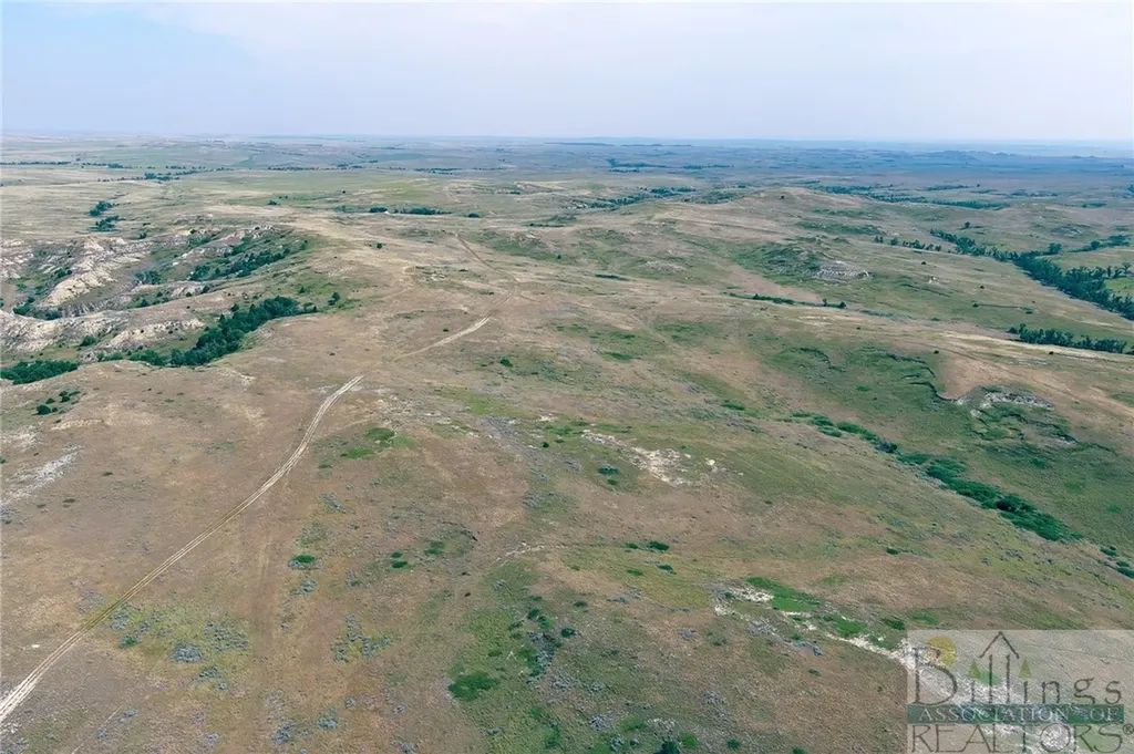 "5736 +/- Acres" Nhn Straub Access Road Plevna, Mount Road Other MT 59344