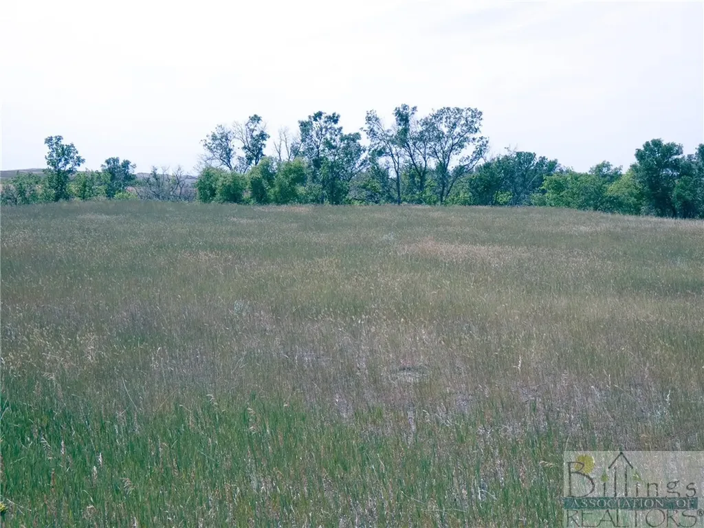 "5736 +/- Acres" Nhn Straub Access Road Plevna, Mount Road Other MT 59344