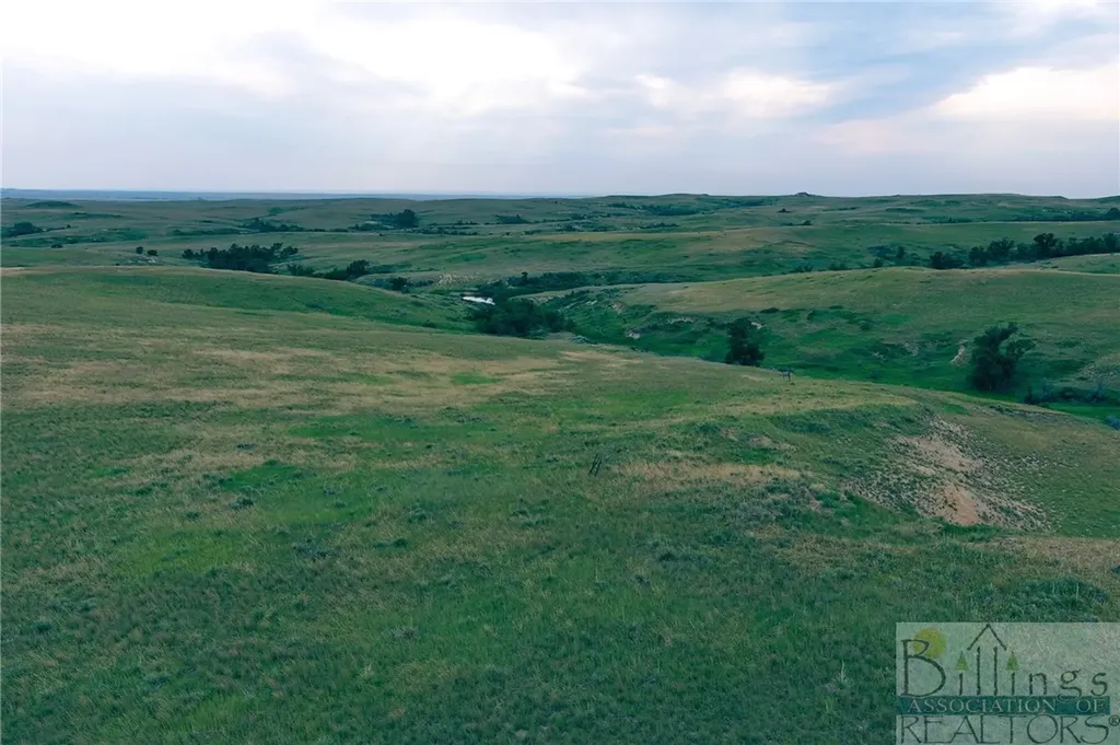 "5736 +/- Acres" Nhn Straub Access Road Plevna, Mount Road Other MT 59344