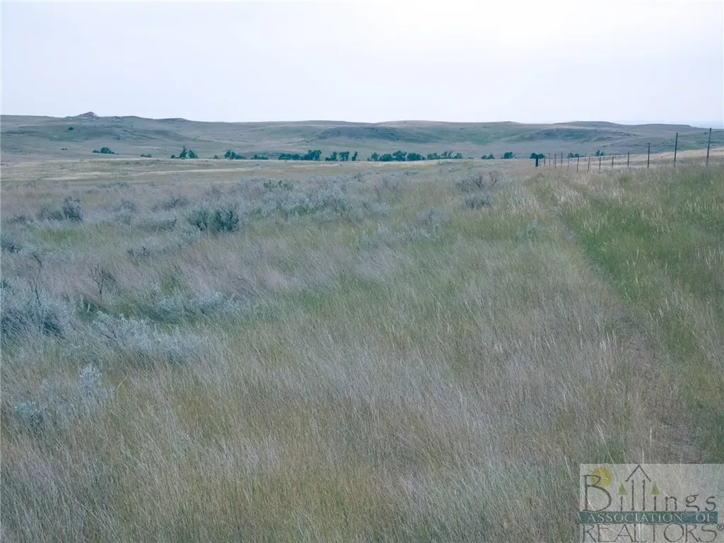 "5736 +/- Acres" Nhn Straub Access Road Plevna, Mount Road Other MT 59344