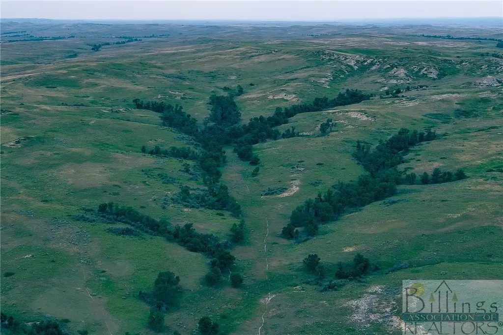 "5736 +/- Acres" Nhn Straub Access Road Plevna, Mount Road Other MT 59344