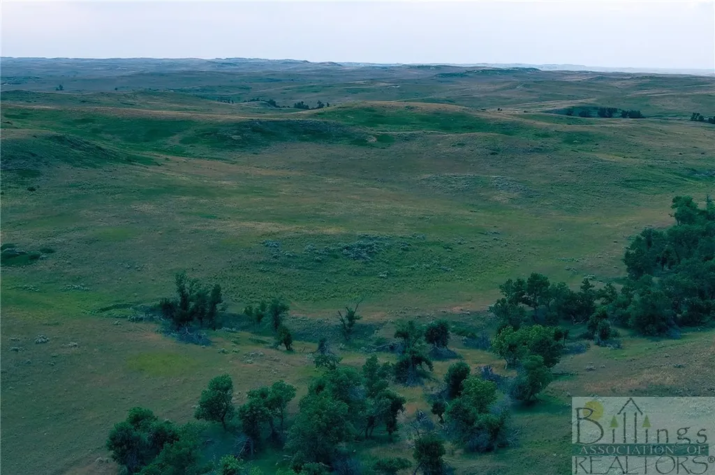 "5736 +/- Acres" Nhn Straub Access Road Plevna, Mount Road Other MT 59344